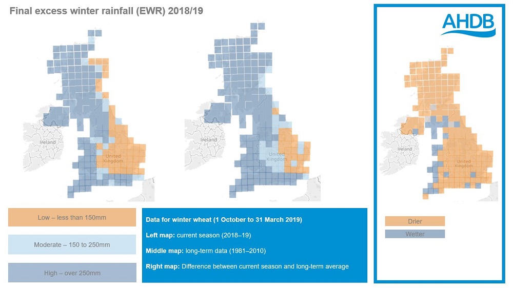 Final excess winter rainfall (EWR) 2018/19. AHDB.